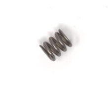 117491 - Side Seal Spring, AP - $6.4